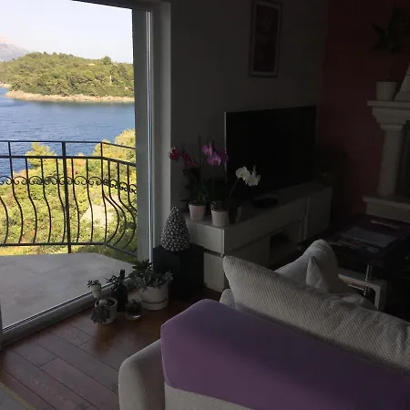 The View **** アパート *