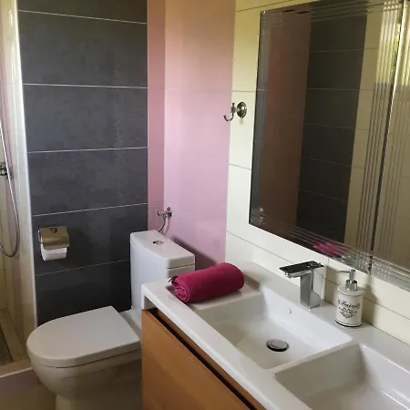 The View **** アパート *