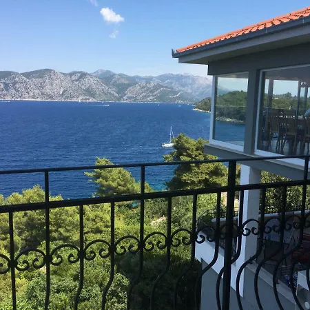 The View ****