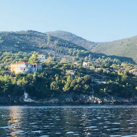 The View **** アパート *