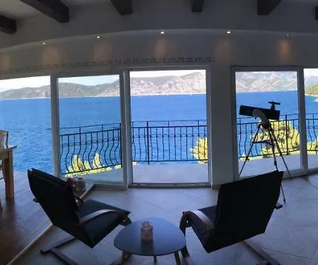 The View **** アパート *